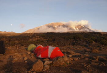 Kilimanjaro